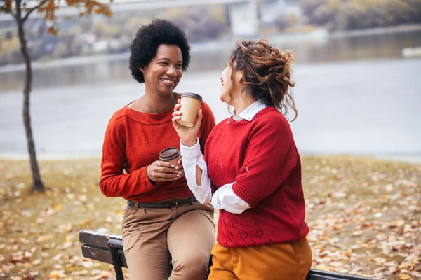 Zwei Glückliche Freundinnen Reden Und Erzählen Lebensgeschichten Genießen Den Herbst — Stockfoto