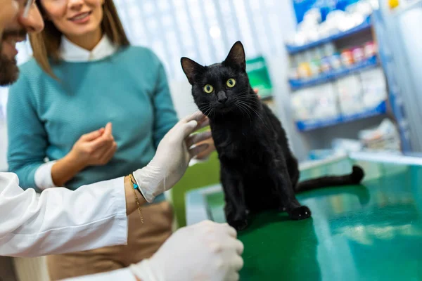 年轻的兽医是兽医 他在现代兽医诊所检查猫 年轻的主人帮助宠物平静下来 并与兽医专家交谈 — 图库照片