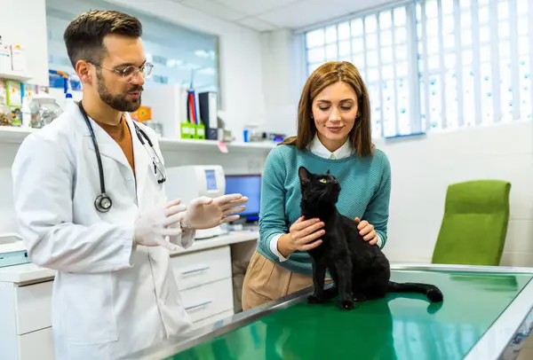 Νεαρός Άνδρας Κτηνίατρος Στο Επάγγελμα Εξετάζει Μια Γάτα Στο Σύγχρονο — Φωτογραφία Αρχείου