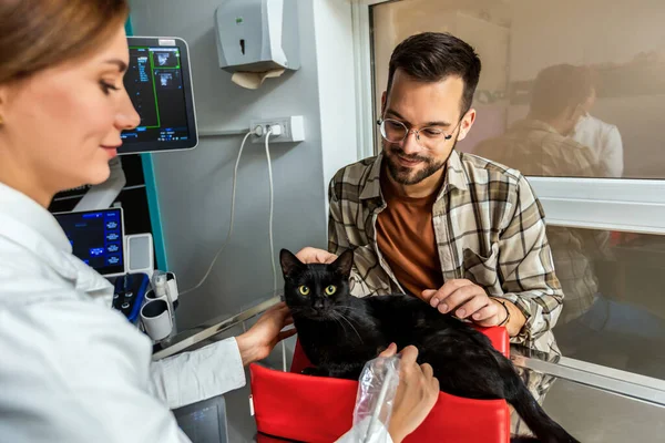 Kočka Ultrazvuk Scan Veterináře Úřadu Kočka Veterinární Klinice — Stock fotografie