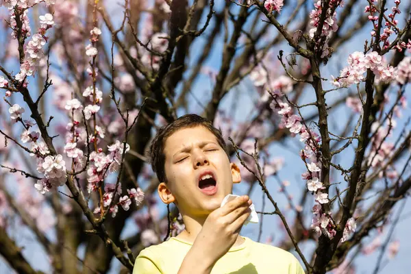 Child Pollen Allergy Boy Sneezing Blowing Nose Because Seasonal Allergy — Stock Photo, Image