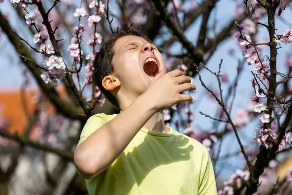 Child Pollen Allergy Boy Sneezing Because Seasonal Allergy — Stock Photo, Image