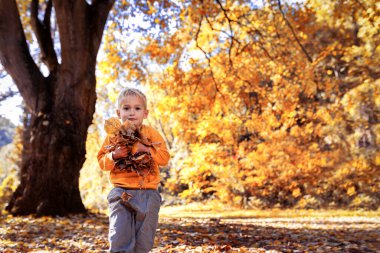 Genç çocuk parktaki renkli sonbahar yapraklarıyla mutlu bir şekilde oynuyor, sonbahar mevsiminin güzelliğinin tadını çıkarıyor.
