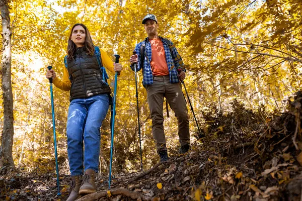 Genç evli çift ormanda romantik bir yürüyüşe çıkar..