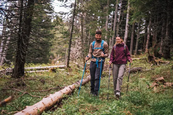 Genç bir erkek ve kadın, tam teçhizatlı sırt çantaları, yürüyüş direkleri ve açık hava kıyafetleriyle dolu gür bir dağ ormanında yürürken yakalanırlar. Çift orman yolunda ilerlerken odaklanmış ve kararlı görünüyor..