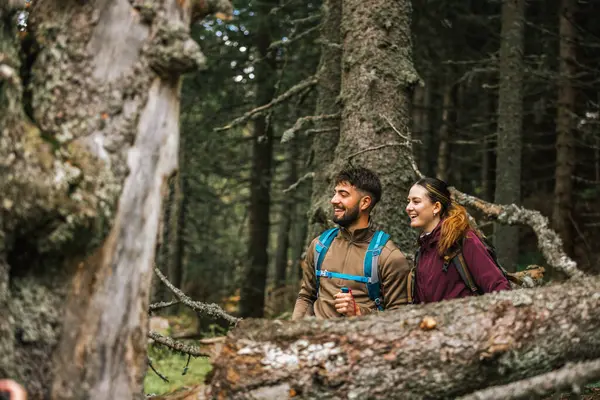Sırt çantaları, yürüyüş direkleri ve açık hava kıyafetleriyle donatılmış genç bir erkek ve kadın, yemyeşil doğayla çevrili bir dağ yolunda birlikte yürüyorlar.. 