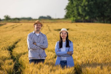 Taylandlı bir kadın ve yaşlı bir erkek çiftçi, altın buğday tarlasında kollarını kavuşturup gülümsüyorlar..