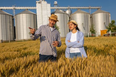 İki işçi buğday kaplı bir alanda büyük siloların önünde duruyor ve gelecek görevleri aktif olarak tartışıyorlar..