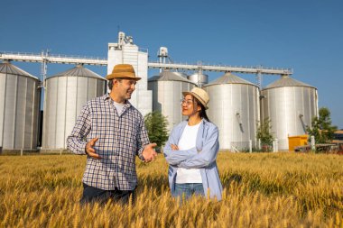İki işçi buğday kaplı bir alanda büyük siloların önünde duruyor ve gelecek görevleri aktif olarak tartışıyorlar..