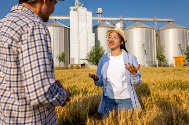 İki işçi buğday kaplı bir alanda büyük siloların önünde duruyor ve gelecek görevleri aktif olarak tartışıyorlar..