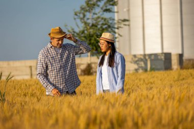 İki işçi buğday kaplı bir alanda büyük siloların önünde duruyor ve gelecek görevleri aktif olarak tartışıyorlar..