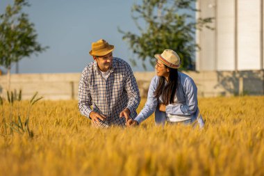 İki işçi buğday kaplı bir alanda büyük siloların önünde duruyor ve gelecek görevleri aktif olarak tartışıyorlar..