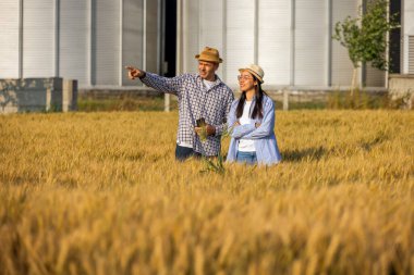 İki işçi buğday kaplı bir alanda büyük siloların önünde duruyor, uzaktaki bir şeye bakıyorlar..