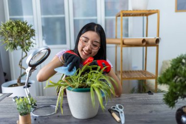 Genç bir Taylandlı kız çiçeğinin yapraklarını nazikçe suyla ve bezle temizliyor..