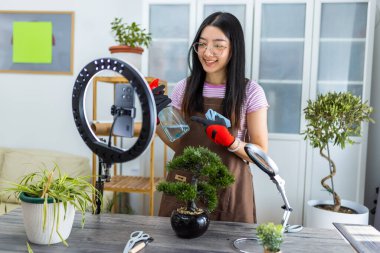 Genç bir Taylandlı, ev bitkisinin yapraklarını su ve bez kullanarak yavaşça temizlerken halka ışığıyla bir yaşam tarzı videosu çekiyor..