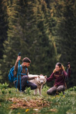 Sırt çantaları, yürüyüş direkleri ve yürüyüş giysileri ile donatılmış genç bir adam ve kadın, dağ yürüyüşü sırasında nazik bir şekilde vahşi bir köpeği okşamak için dururlar.. 