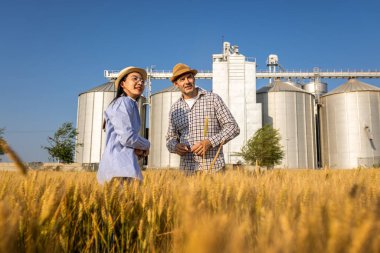 İki işçi buğday kaplı bir alanda büyük siloların önünde duruyor ve gelecek görevleri aktif olarak tartışıyorlar..