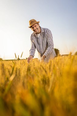Kıdemli bir adam altın buğday tarlasında dikilirken kameraya güvenle gülümsüyor.