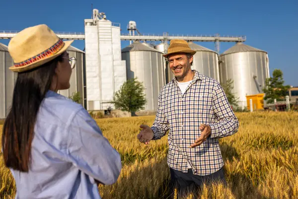 İki işçi buğday kaplı bir alanda büyük siloların önünde duruyor ve gelecek görevleri aktif olarak tartışıyorlar..