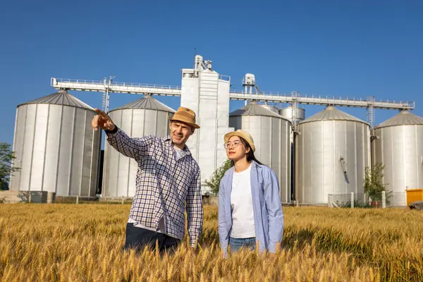 İki işçi buğday kaplı bir alanda büyük siloların önünde duruyor ve gelecek görevleri aktif olarak tartışıyorlar..
