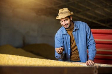 Depodaki genç adam soya fasulyesini elinde tutuyor ve tahıl kalitesini, tarım kavramını kontrol ediyor.