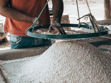Cassava unu seçen bir işçi..