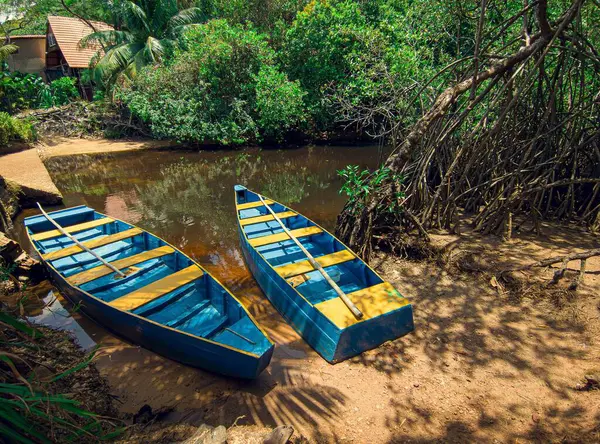 Nehir kenarındaki tekneler yolcuların mangrovlarla çevrili nehir boyunca tura çıkmasını bekliyor..
