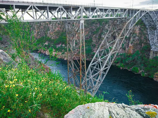 Taştan bir kanyon boyunca uzanan ve kır çiçeklerinin manzarayı güzelleştirdiği bir nehrin üzerindeki metal köprünün detayları..