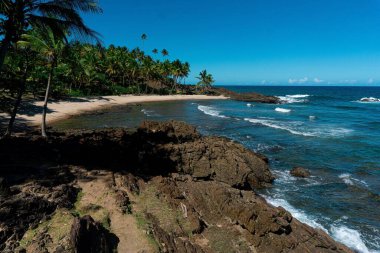 Bereketli kayaların, kristal berrak suların ve parlak mavi gökyüzünün altında rüzgarda sallanan palmiyelerin bulunduğu sakin tropikal bir sahil manzarası. Sahne, doğayla barışı ve bağı çağrıştırıyor..