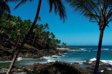 Sahilde güneş tarafından aydınlatılan güzel bir tropikal plaj. Etrafı, taşlara hafifçe vuran palmiye ağaçları ve kayalarla çevrili. Açık mavi gökyüzü, huzurlu ve huzurlu manzarayı güçlendirir..
