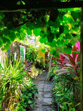 Bereketli yeşil yapraklar ve canlı tropikal bitkilerle çevrili sakin bir yol. Filtrelenmiş ışık rahat, ferahlatıcı bir atmosfer yaratıyor. Rahatlamak ve doğanın tadını çıkarmak için mükemmel..