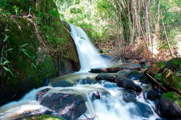 Güzel bir şelale, tropik bitki örtüsüyle çevrili yosun kaplı taşlar arasında kristal berraklığında su fışkırtır. Güneş ışığı ağaçların arasından süzülür, dingin, canlandırıcı bir atmosfer yaratır, doğa severler ve manzara fotoğrafları için mükemmeldir..