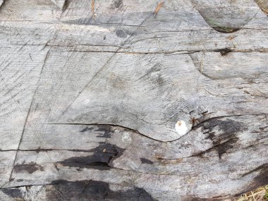 Grunge retro ahşap arkaplan dokusu yüzeyi