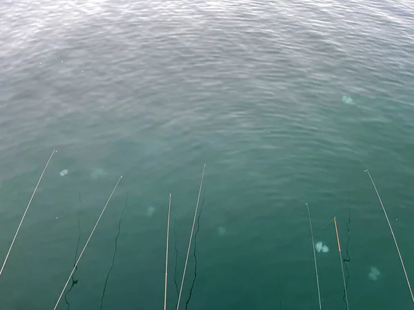 Fishing rod in a saltwater in blue ocean with jellyfish