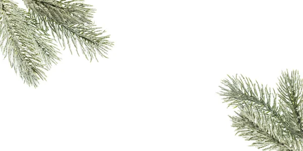 Рождественский Фон Снежно Зеленой Елкой Веточка Изолированы Белом — стоковое фото