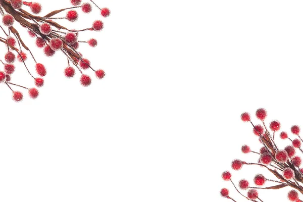Kızıl Karlı Kış Meyveleri Beyaz Üzerine Izole Edilmiş Noel Arkaplanı — Stok fotoğraf