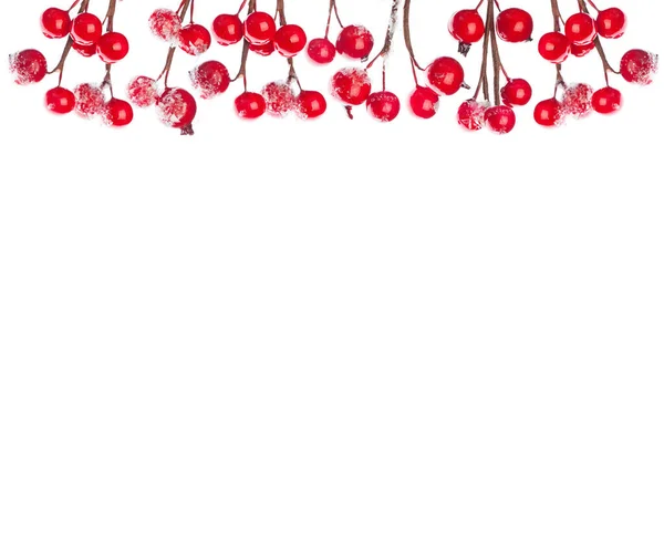 Granica Świąt Boże Narodzenie Czerwone Jagody Zimowe Izolowane Białym Tle — Zdjęcie stockowe