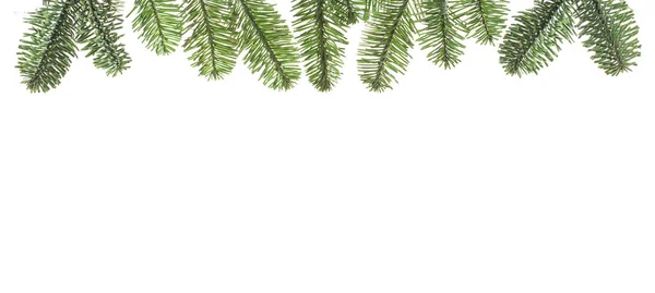 Jul Evergreen Träd Gren Gräns Isolerad Vit Bakgrund — Stockfoto