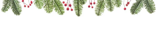 Різдвяна Ялинка Або Сосна Вічнозелений Дизайн Кордону Ізольований Білому Тлі — стокове фото
