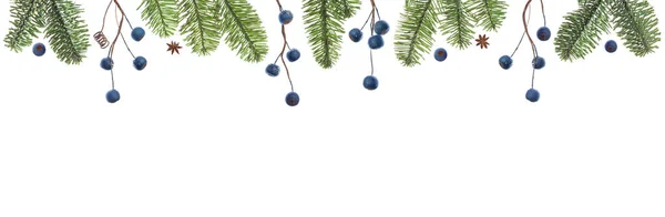 圣诞构图边界 白色背景上的云杉枝条和蓝莓 有文字空间 — 图库照片
