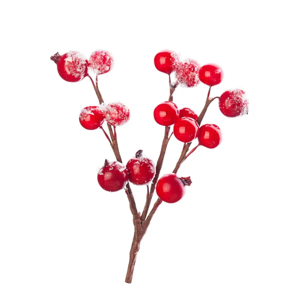 红色冬季浆果被隔离 圣诞节的概念 — 图库照片
