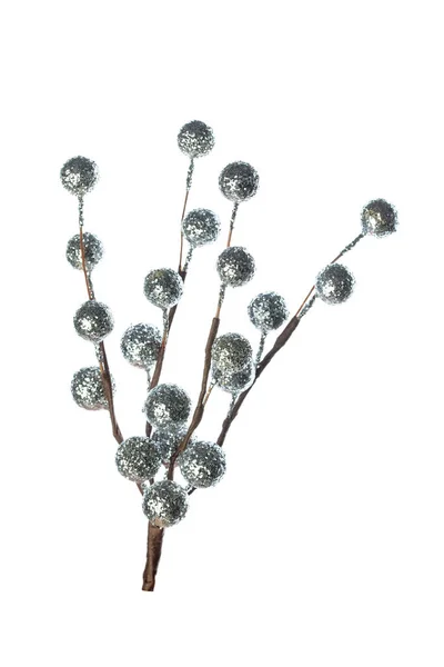 白に孤立した銀の果実を持つ美しい枝 — ストック写真