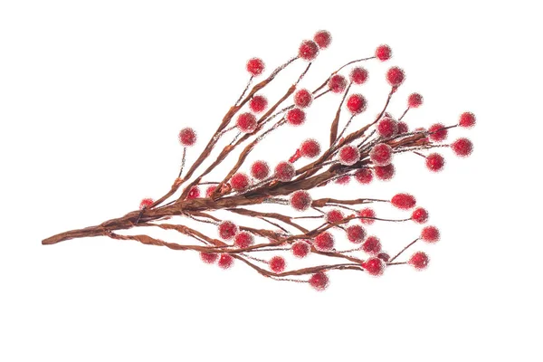 Vánoční Větev Červenými Bobulemi Izolované Bílém Pozadí — Stock fotografie