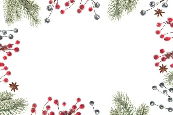 Xmas Fir Branch Red Silver Berries White Background — 스톡 사진
