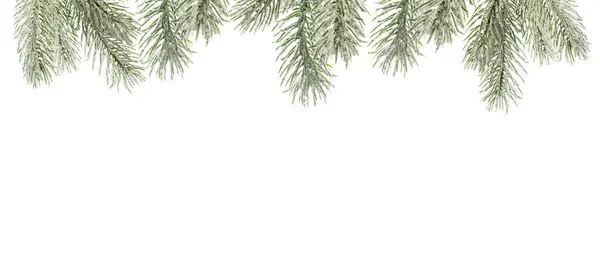 Рождественская Елка Веточка Границы Изолированы Белом Фоне — стоковое фото