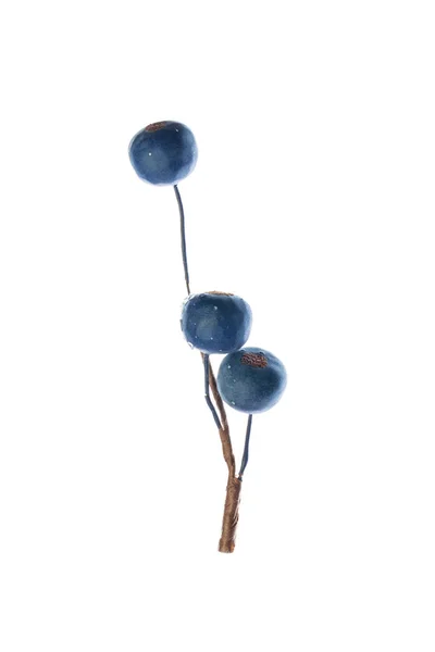 Christmas Decoration Blue Berries Isolated White Background — Stock Photo, Image