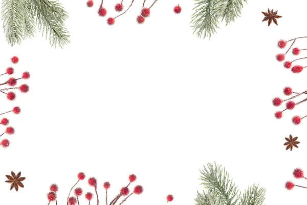 圣诞背景 圣诞树枝条 红浆果和茴香星缀在白色的 俯瞰全景的平面上 图库图片