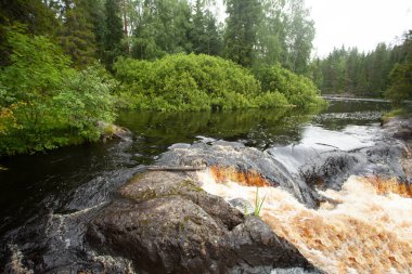 Dağ nehri, ormandaki su.