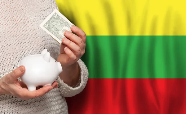 リトアニアの国旗を背景にお金の銀行を持つリトアニアの女性 年金基金 退職の概念 — ストック写真