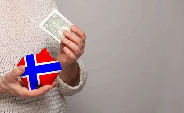 노르웨이의 국기가 여성의 있습니다 — 스톡 사진
